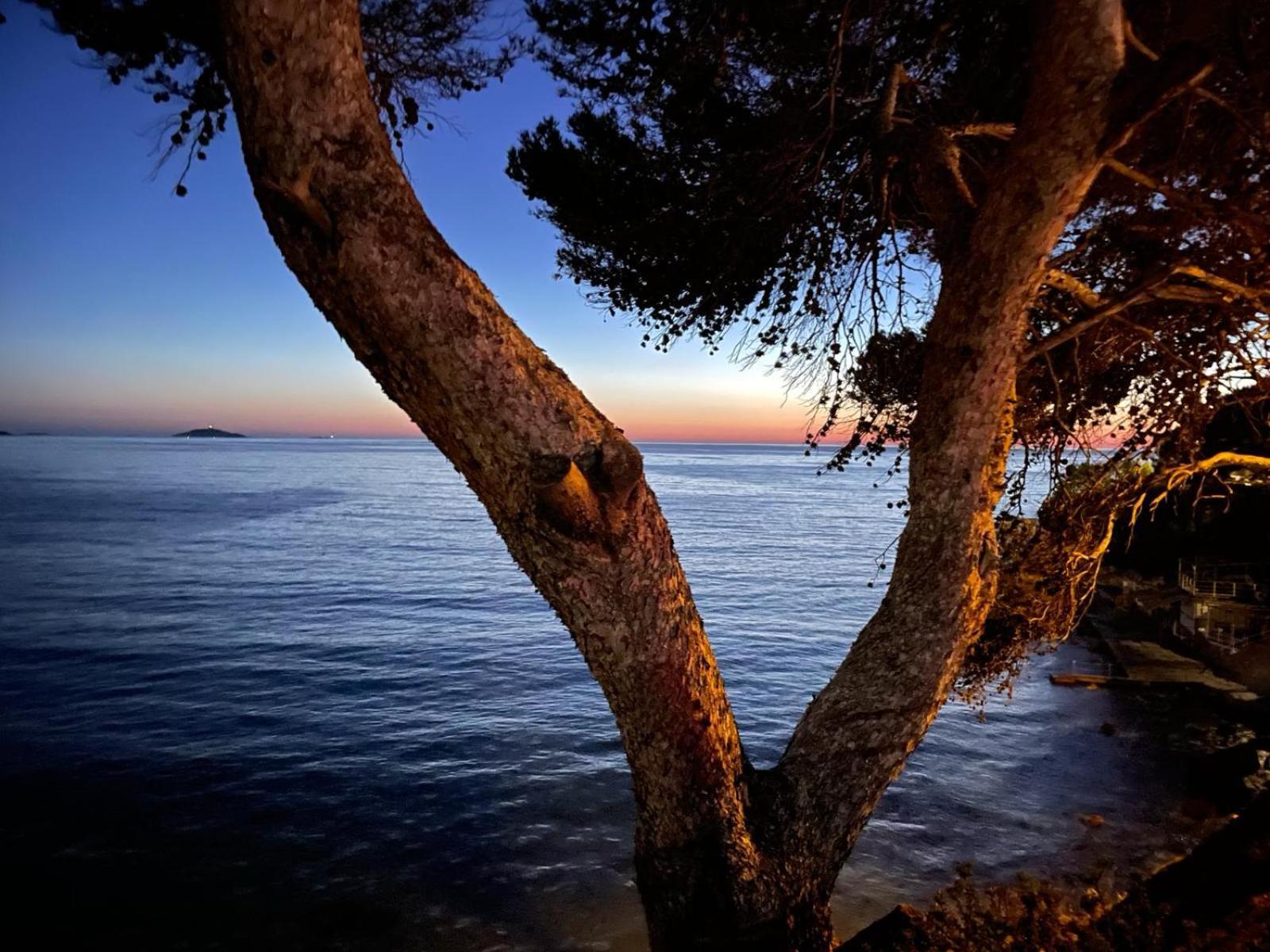 Vacances Bord De Mer - Appartement Sanary Sur Mer Exterior photo